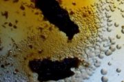 Biocontrol of Waterborne paint resin degradation by using of galvanic microcells
